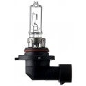 HB3 Halogeenlamp 12V 60W P20D HB3 Halogeenlamp 12V 60W P20D