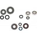 Krukaslager Keerring Set Benelli Adiva 125 4T Krukaslager Keerring Set Benelli Adiva 125 4T