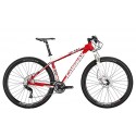 Mountainbike 29