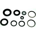 Keerring Set MBK SkyLiner 250 Keerring Set MBK SkyLiner 250